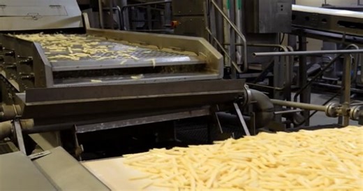 Explained: India's Journey From A French Fries Importer To Exporter In Less Than 10 Years