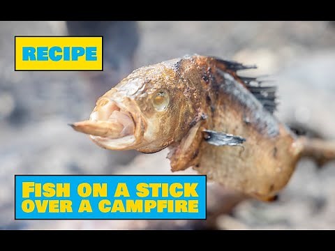 How to Cook Fish On a Stick Over a Campfire vol 1 - Easy Outdoors Cooking