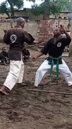 bunkai tonfa vs bo