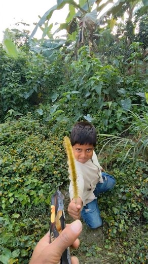 Flowers & Biscuits Challenge 😲 | Ultimate Funny Eating Contest