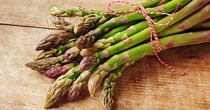 Menus de la semaine : semaine 14