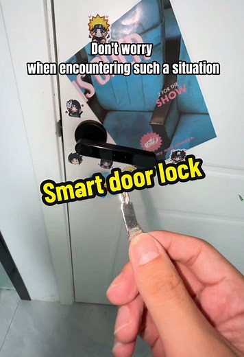 Smart Door Lock Solutions for Sibling Privacy