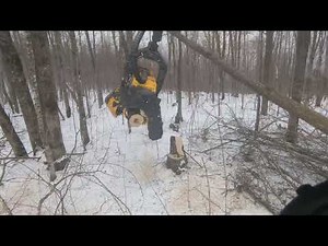 ponsse Giant active H8