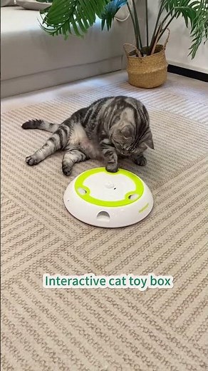 Interactive cat toy box #cat #bestpetsupplies #toyanimal