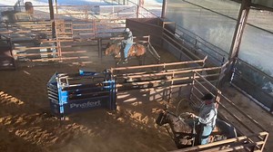 Usware heeling is easy when you make it easy lesson available online or in person it helps 7132928386 text. | Camish Jennings