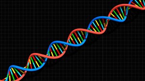 Dna, Spiral, Science. Free Stock Video