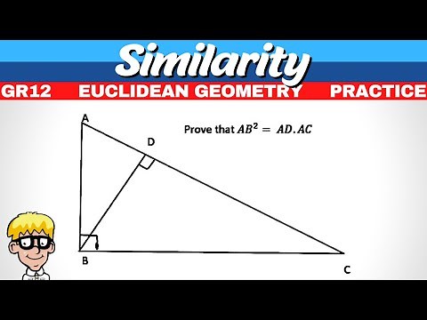 Grade 12 Similarity # 2