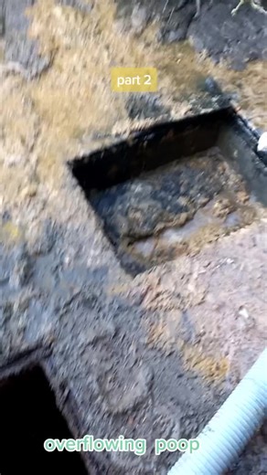 Overflowing Drains: What's Causing the Issues?