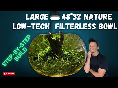 BUILDING A LARGE 48*32 CM LOW-TECH FILTERLESS NATURE STYLE BOWL TANK
