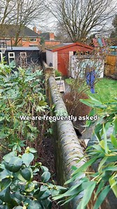 ✅ Cat-Proofing a Garden with a Low-Wall 😻 #cats #catproofgarden #catfencing | ProtectaPet