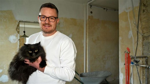 Eigene Praxis nur für Katzen: Tierärzte schaffen neues Angebot – „Gibt den Tieren mehr Ruhe“
