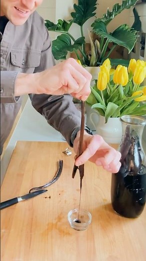 What do you do with vanilla beans after making extract?