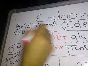 Endocrine Cases Ideas dr Mohamed Fayez