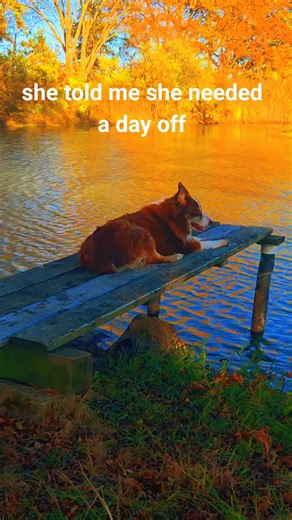 2.2K views · 60 reactions | Drew Pottorff on Reels | Facebook