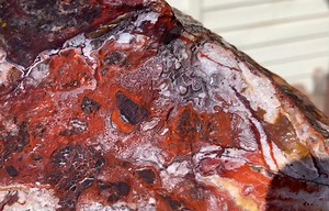 Rough Buy it Now Red Crazy Lace BIN $27 Weighs 4lbs 9oz $18 Shipping US Mexico | Tim George