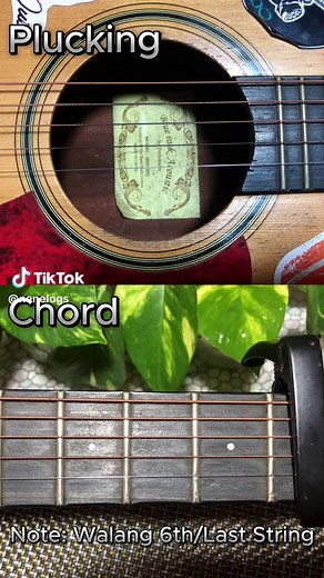 Mundo Guitar Tutorial: Easy Chords and Tabs Guide