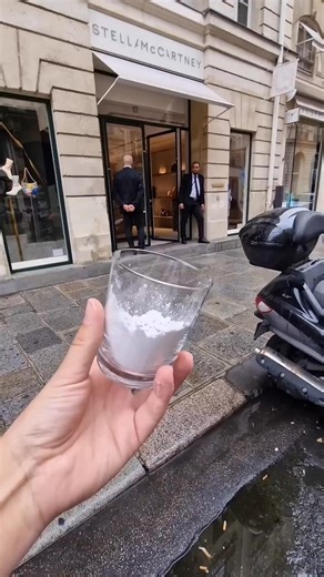 El artista secreto de París🎨 | El palomito