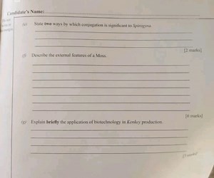 State two ways by which conjugation is significant to Spirogyra... | Filo