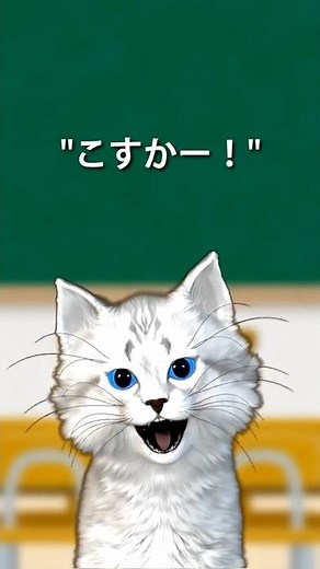 Differences between standard Japanese and Nagasaki dialect