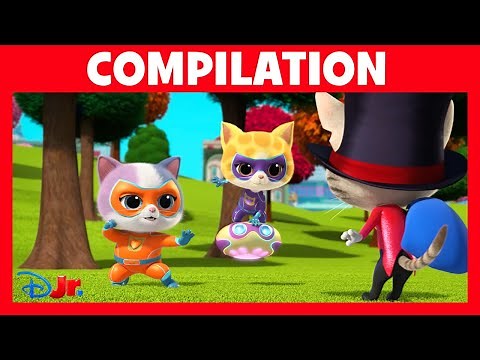 SuperChatons - Compilation : Les meilleures virées en plein air