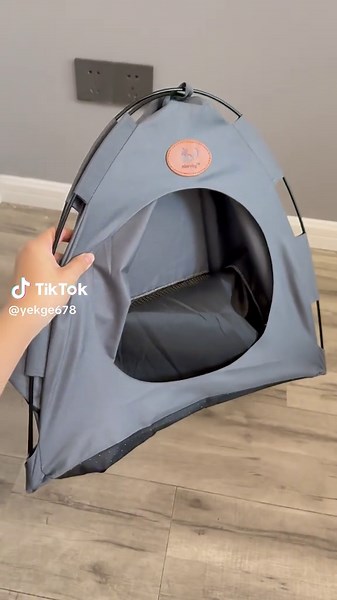 Essential Tips for Camping with Cats