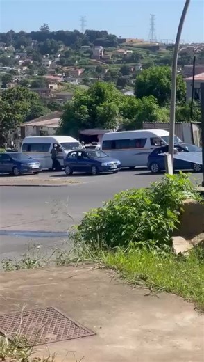 pitbull sported somewhere around clermont