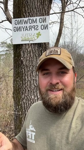Wild Bergamot Conservation Project: A Success Story