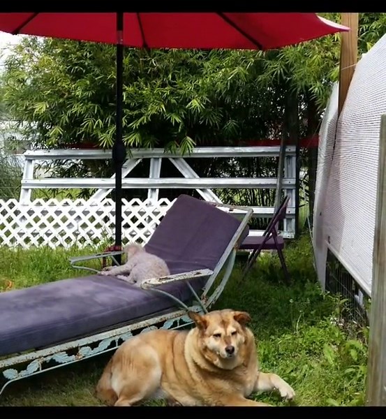 @candyhart88 (@candyhart88)’s videos with original sound - @candyhart88