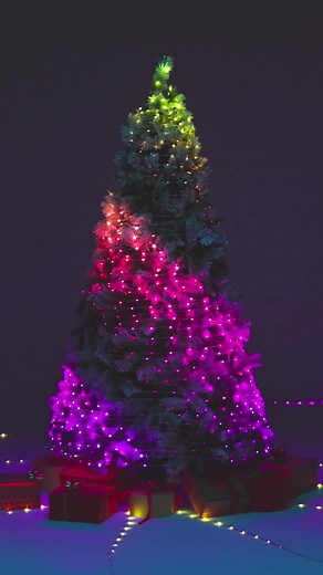 Magical Christmas Music for Your Twinkly Xmas Tree