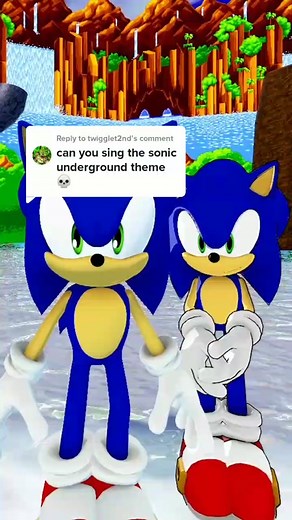 Sonic Speed in VRChat: A Multiverse Adventure