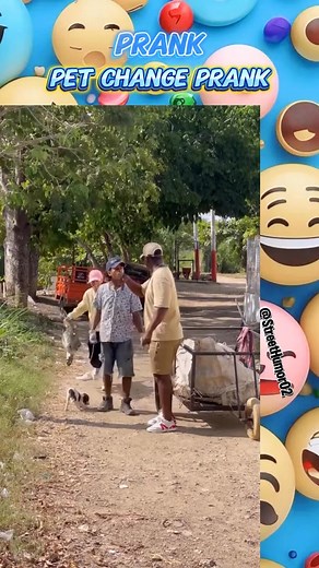 Pet change prank 😂 #funnyvideos #funnymoments #prankvideos #funnyvideo #funny #prank #funnyprankvideos #prankvideo #funnypranks #funnypranksters | streethumor02