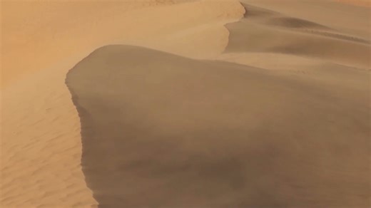 2026.02.01 Scott 900