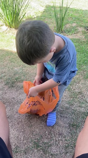 Bebês Engraçados Brincando e Aprendendo!