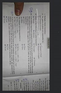 Multiple Choice Questions:(i) The xylem of plants are responsi... | Filo