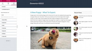 Elementor Page Builder Compatibility and Documentation