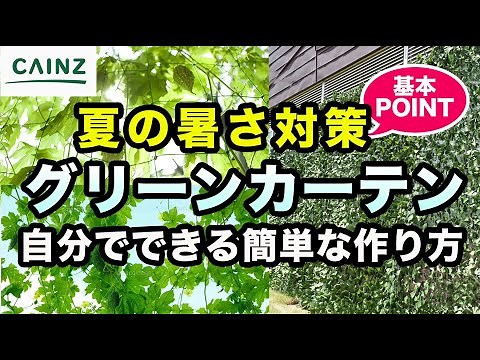 グリーンカーテンの作り方｜初心者でも安心！日除けになる緑のカーテンを作ろう｜暑さ対策【カインズHOWTO】