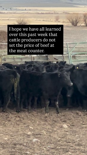 15K views · 8.2K reactions | Why are we so focused on this right now?...