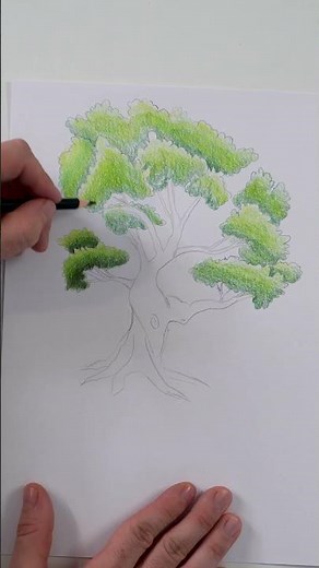 Drawing trees with colored pencils made easy 🌳
