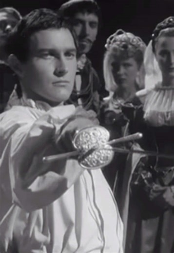 #fencing #medieval #targetaudience | fencing