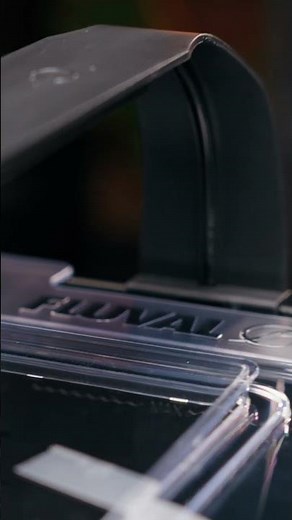 Unboxing the NEW Fluval Betta Kit! 😍 #shorts