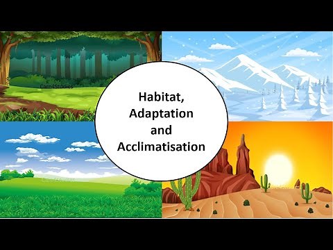 Habitat, Adaptation & Acclimatisation | Ch-9 | Living organisms & their surroundings|Science|Class 6