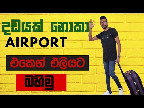 How to complete an Incoming Passenger Card in Australia | Australian Sinhala Vlog | Lankan Couple