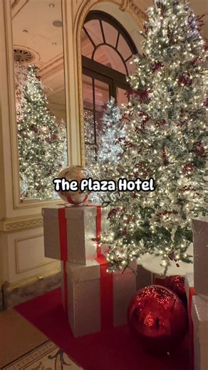 The Plaza Hotel decorated and ready for Christmas! Come inside to see the beautiful decorations and feel the holiday magic. ✨🎁 Enjoy the festive displays! #Christmas #christmasdecor #plazahotel #NYC | New York City Photos