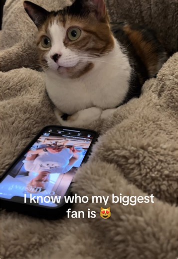 #mrsbrownskitchen | Mrs. Brown