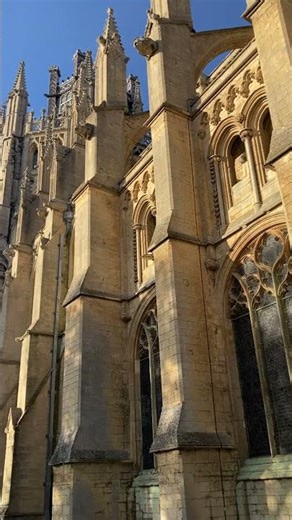 Life can be full of stress. Taking a walk and appreciating God’s creation helps to calm down! #trees