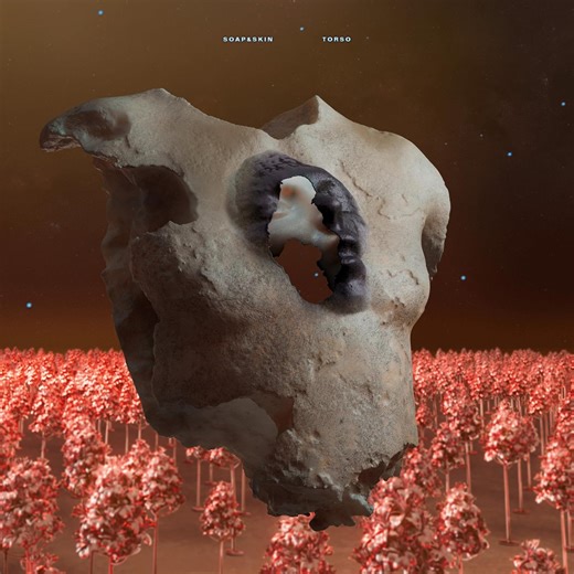 Soap&Skin :: „Torso“