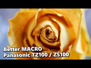 How to Take Better Macro (not only) with Panasonic Lumix TZ100/ZS100