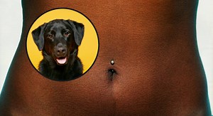 Why you should regularly check your belly button is clean, especially if you have pets