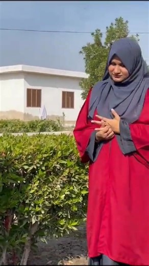 We're excited to share the successful completion of *AKUEB MSP Project 2: Butterfly Effect!* Students showcased their understanding of chain reactions and integration of subjects like Social Studies, Science, and English through a Rube Goldberg machine project. Check out the attached video to see their creativity in action☝️ | Mir Sher Muhammad Khan Talpur Public School Mirpurkhas