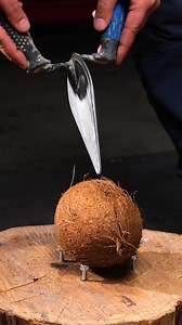 323K views · 903 reactions | Crafting ring with a coconut! | 5-Minute Crafts | Facebook